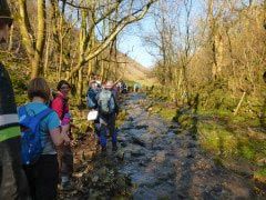 A group of walkers at the side of a muddy path